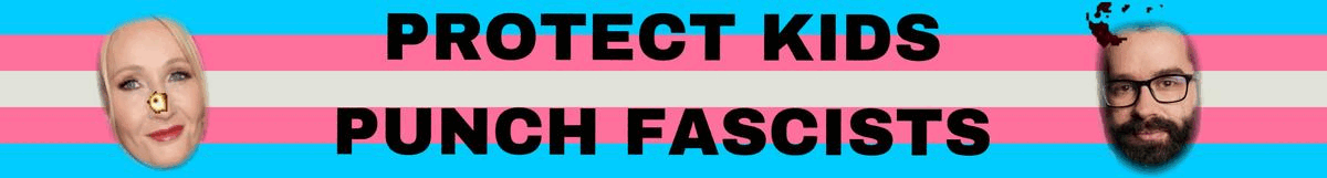 PROTECT KIDS PUNCH FASCISTS